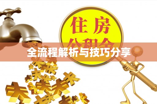 繁峙全流程解析与技巧分享